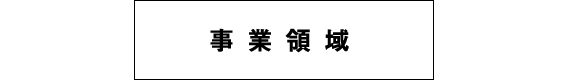 事業領域